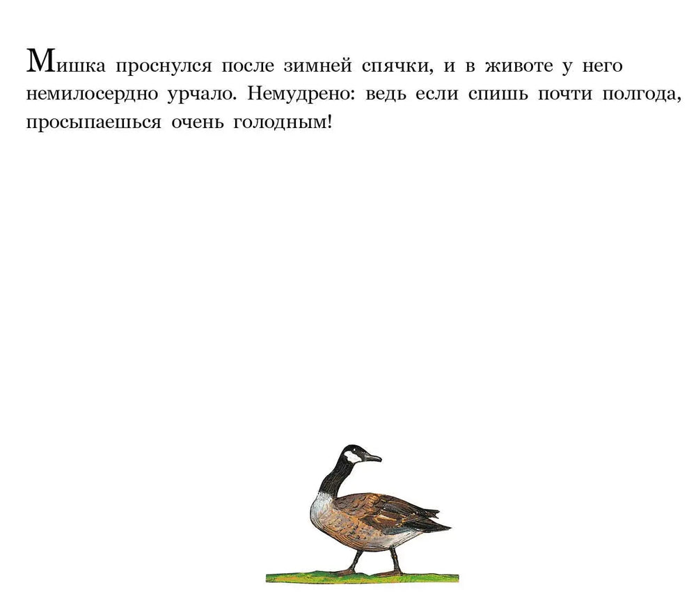 Медвежье чудо, Вольф Эрльбрух