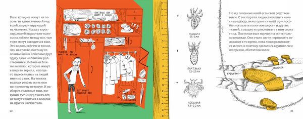 Почему голова чешется? Роман Фишман