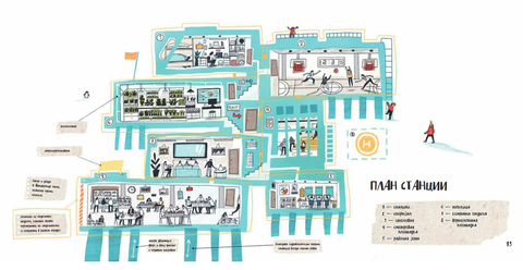 Вокруг Антарктики: исследуем ледяной юг. Таня Медведева. Мария Вышинская
