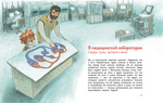 Как устроен человек. Детская энциклопедия (мягкая обложка). Елена Качур