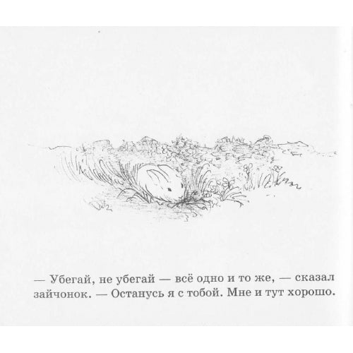 Как зайчонок убегал. Уайз Браун Маргарет.