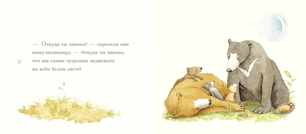 Все самые любимые. Сэм Макбратни