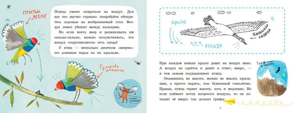 Почему птицы не падают? Илья Колмановский
