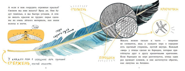 Почему птицы не падают? Илья Колмановский
