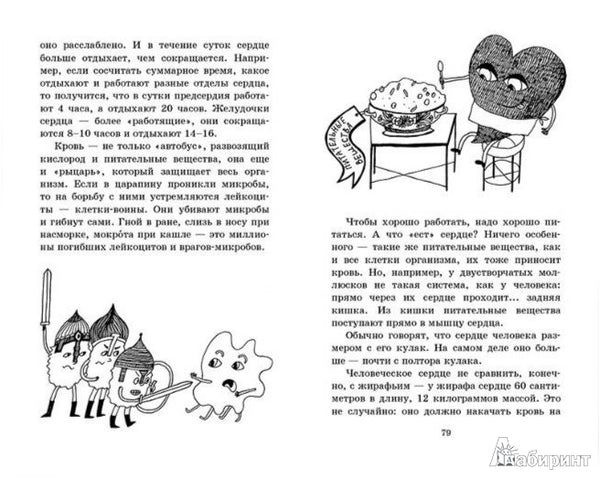 Занимательная медицина. Лаврова Светлана Аркадьевна